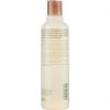 Aveda Rosemary Mint Purifying Shampoo 250ml