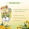 7th Heaven Blemish Clay Mud Face Mask with Witch Hazel and Aloe Vera 20g