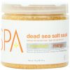 BCL Spa Organics Mandarin and Mango Dead Sea Salt Soak 16 Ounce