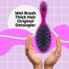 Wet Brush Original Detangler for Thick Hair Brush Purple