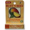 Burt's Bees 100% Natural Lip Balm Mango 4.25g