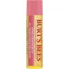 Burt's Bees 100% Natural Lip Balm Pink Grapefruit 4.25g