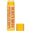 Burt's Bees Beeswax Lip Balm Stick With Vitamin E & Peppermint Oil 4.25g