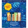 Burt's Bees Lip Balm Gift Set - Beeswax, Vanilla Bean, Cucumber Mint, Coconut