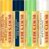 Burt's Bees Lip Balm Gift Set - Beeswax, Vanilla Bean, Cucumber Mint, Coconut