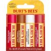 Burt's Bees Lip Balm Gift Set Shortbread Cookie Cranberry Spritz Salted Caramel Peppermint 4x4.25g Festive Fix