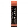 Burt's Bees Tinted Lip Balm 4.25g