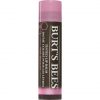 Burt's Bees 100% Natural Moisturizing Tinted Lip Balm Pink Blossom