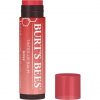 Burt's Bees Tinted Lip Balm 4.25g