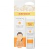 Burt's Bees 99.1% Natural Exfoliating Clay Mask 16.1g