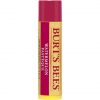 Burt's Bees Watermelon Lip Balm Stick 4.25g