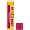 Burt's Bees Watermelon Lip Balm Stick 4.25g