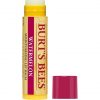 Burt's Bees Watermelon Lip Balm