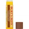 Burt's Bees Moisturizing Lip Balm Salted Caramel Flavor with Beeswax and Vitamin E 4.25g