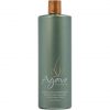 Agave Healing Oil Smoothing Shampoo