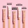 Melvita BB Cream Source de Roses Light 100% Natural Pigments Certified Organic Silicone-Free Natural Coverage 6-in-1 40ml Tube