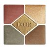 Christian Dior 5 Colour Couture Eyeshadow Palette 343 Khaki 0.24 Ounce