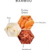 Bambou by Weil Beauty Gift Eau De Parfum Spray for Women 3.4 oz