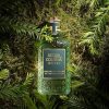 ACQUA COLONIA Intense Wakening Woods of Scandinavia Eau de Cologne 50ml