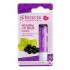 Benecos Vegan Lip Balm 4.8g