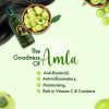 Amla Hair Oil 100ml Natural Care Enriched with the Goodness of Amla for Strong Healthy Hair