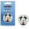 Mickey & Friends Lip Balm - Mickey