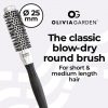 Olivia Garden Essential Blowout Classic Silver Hairbrush 25