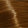 Xp200 Hair Dye 10.31 Extra Light Blonde / Gold / Ash - 100ml (2 Treatments)