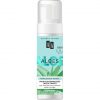 AA Aloes 100% Aloe Vera Extract Moisturizing and Soothing Make-up and Face Cleansing Foam 150ml