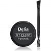 Delia Cosmetics Brow Pomade Graphite Eyebrow Expert Stylist with Perfect Colour and Shape Easy to Use Styling and Care Brush Included