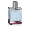 Victorinox Steel Eau de Toilette for Men with Violet Leaves and White Fir Aquatic and Fresh 100ml