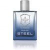 Victorinox Swiss Army Steel for Men 3.4oz EDT Spray 100ml