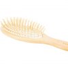 Acca Kappa Pneumatic Beech Wood Oval Brush With Wooden Pins