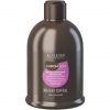 Alterego ChromEgo Silver Maintain Conditioner 300ml