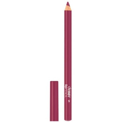 Debby Long Lasting Lippencil 05 Pencil Lips Make-Up And Cosmetic