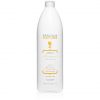 AlfaParf Milano Precious Nature Colored Hair Shampoo 1000ml