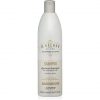 Alfaparf Il Salone Glorious Shampoo 500ml