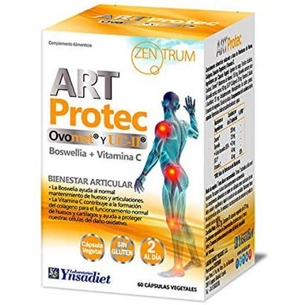 Ynsadiet Art Protec 60cap Zentrum, 70 G