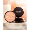 GISÈLE DENIS Les Terres N02 Namib Compact Powder High Coverage Face Care 15g No. 2 Namib