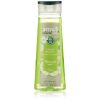 Amalfi Apple Shampoo 13.5 Fl oz