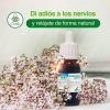 Soria Composor 5 Sedan 50ml