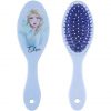 Frozen Elsa Purple Detangle Brush