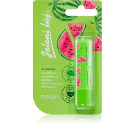 Regina Juicy Summer Watermelon Lip Balm 4 Grams