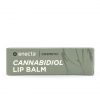 Enecta Hemp Extract Lip Balm 50mg