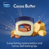 Vaseline Lip Therapy Cocoa Butter Lip Balm for Optimal Moisture