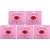 G9Skin Self Aesthetic Rose Hydrogel Lip Patch Pack of 5