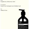 Aesop Equalising Shampoo to Balance the Scalp 500ml